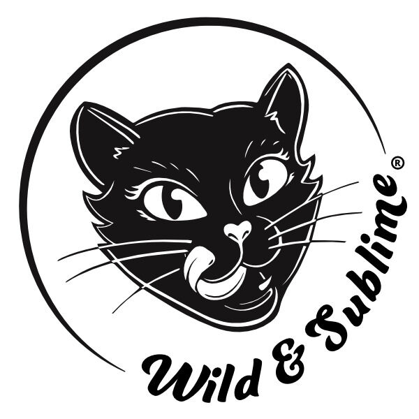 Erotic Creativity - Wild & Sublime Podcast with Corinne Diachuk from Sacred Center Yoga
